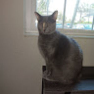 Meet your Posher, John